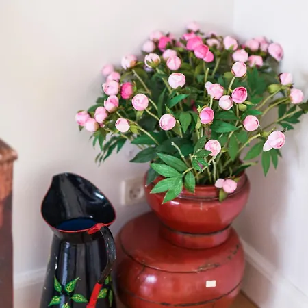 Copenhagen Exclusive Baltic Sea * Solrod