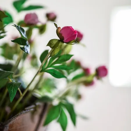 Villa Copenhagen Exclusive Baltic Sea *