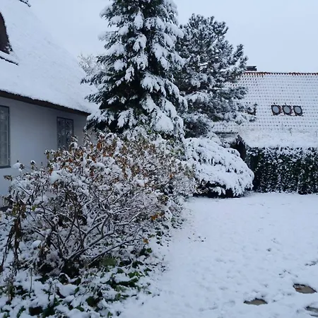 Copenhagen Exclusive Baltic Sea Solrod